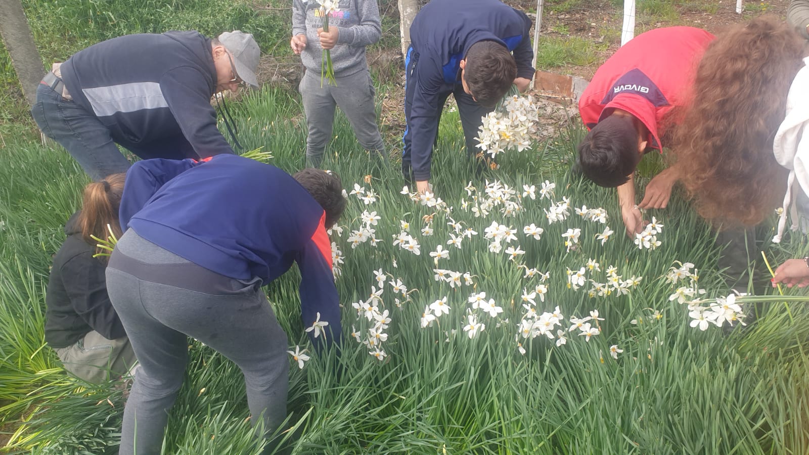Copiii îngrijind florile din grădină